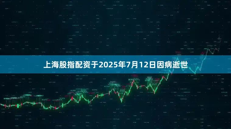 上海股指配资于2025年7月12日因病逝世