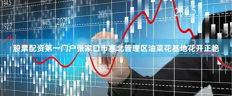 股票配资第一门户张家口市塞北管理区油菜花基地花开正艳