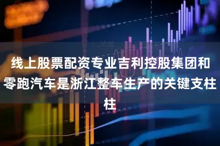 线上股票配资专业吉利控股集团和零跑汽车是浙江整车生产的关键支柱